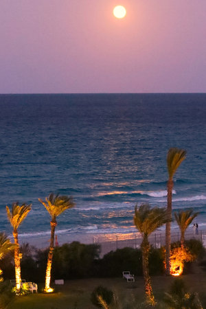 Sunset on the beach.の写真素材