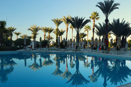 Luxury swimming pool with palm trees at sunset
