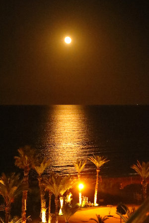 The moon over the sea in the evening. Egypt, Sharm El Sheikhの写真素材