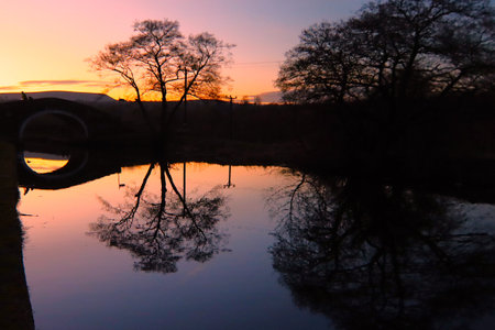 Reflection of trees in the river at sunset. Nature composition.の写真素材