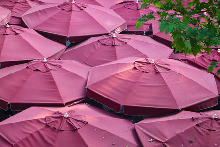 Umbrella for protection from rain.の写真素材