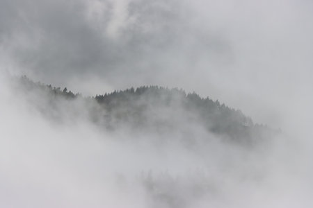 Foggy mountain landscape with coniferous trees in the foregroundの写真素材