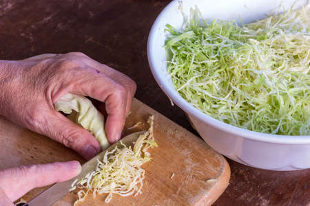 Cook, chop and slice cabbage vegetable, ingredients of salad and sandwichの写真素材