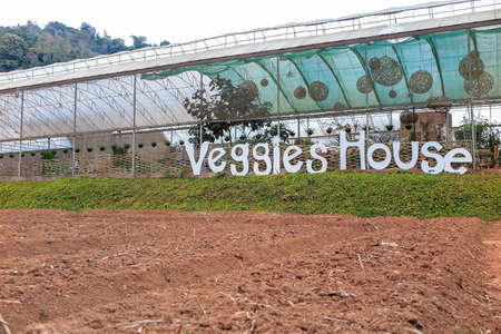 veggies house and prepared land garden in the mountain