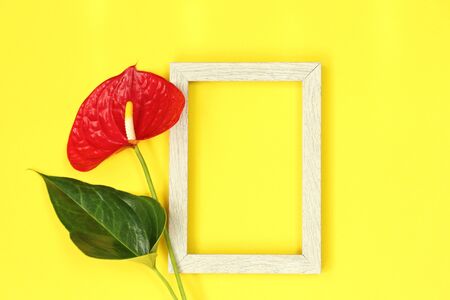 Summer mockup beige frame with red flowerのeditorial素材