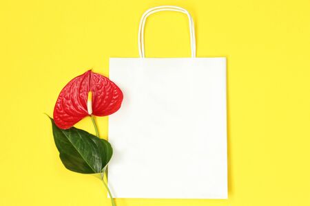 Mockup paper package on yellow backgroundのeditorial素材