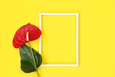 Summer yellow mockup frame with red flowerのeditorial素材