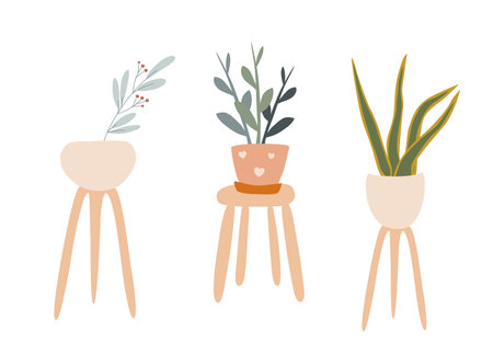Vector set of hand drawn cute houseplants on coasters, home decoration, flowers in Scandinavian style. Isolated white background.のイラスト素材
