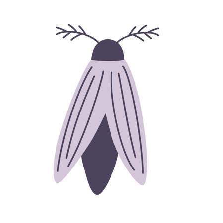 Night Moth. Element for Halloween. Magic, occult, greeting card, print, poster. Vector cartoon illustration.のイラスト素材