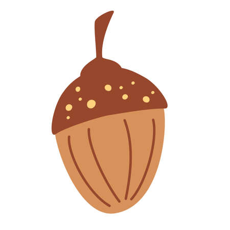 Acorn. nut and food. Flat Icon for web design. Autumn element. Vector botanical illustration in flat cartoon style isolated on white backgroundのイラスト素材
