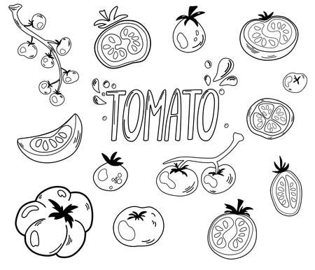 Tomatoes contours set. Tomatoes, slices, halves, cherry tomatoes and a bouquet are isolated on a white background. Outline ink style sketch. Hand draw Vector Illustration.のイラスト素材