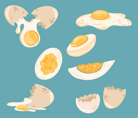 Eggs in various forms. Set of Chicken eggs, raw, boiled and fried. Healthy protein food. Poultry...