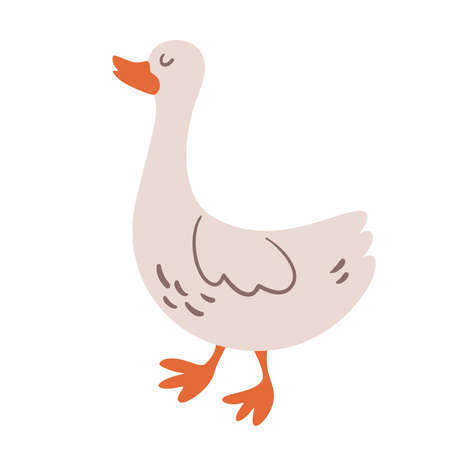 goose. farm pet. Vector cartoon illustration, isolated element.のイラスト素材