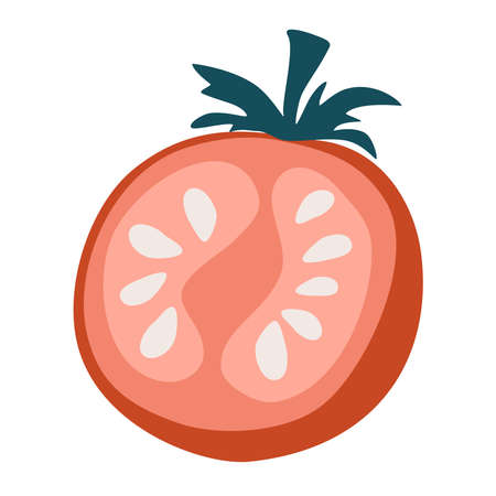 tomato. Ripe tomato slice. Vegetables. Healthy foods. Vector cartoon illustration. Isolate on a white background.のイラスト素材