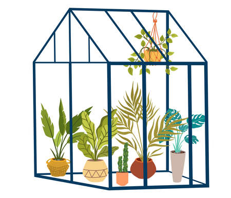 Greenhouse with flowers. Glass orangery, botanical garden green house, flowers and potted plants home gardening. Plants hanging on ropes, growing greenery in pots. Vector cartoon illustration isolateのイラスト素材