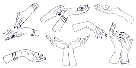 Set of Women's hands line art. Elegant hands in different poses, ideal for printing postcards, banners, fashion, beauty and manicure. Silhouette of woman arms isolated on white. vector illustration.のイラスト素材