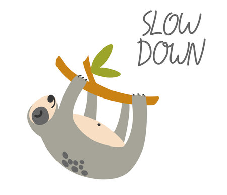 Sloth on a branch. Lazy wild animal lies on branch, climbs trees or eats green leaves. Design elements for stickers, social networks. Cartoon flat vector Illustration isolated on white backgroundのイラスト素材