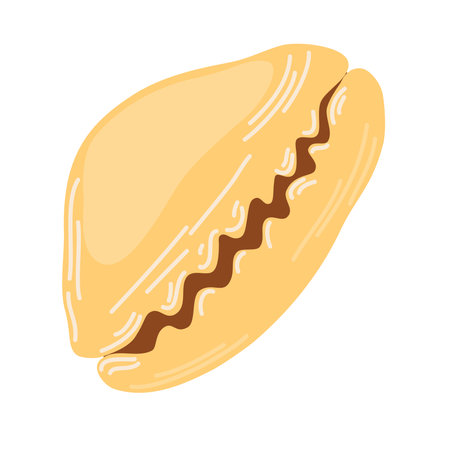 Seashell. Summer vacation, tropical beach shells. Perfect for print, postcards and textile. Hand draw vector illustration isolated on white background.のイラスト素材