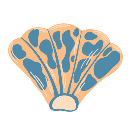 Seashell. Summer vacation, tropical beach shells. Hand draw vector illustration isolated on white background.のイラスト素材