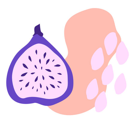 Fig. Fresh Fruit Composition. Design for textiles, labels, posters. Vector hand draw illustration isolated on white background.のイラスト素材
