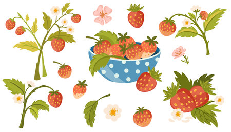 Strawberry set. Wild Forest strawberries, berries, flowers and green leaves. Hand drawn vector illustration clip art collection for web, print designのイラスト素材