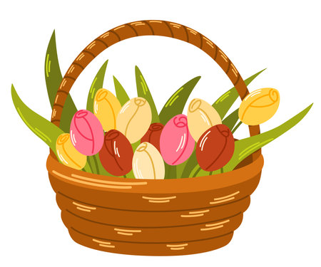 Bouquet of tulips in a basket. Spring flowers. Love concept. Element for spring, summer, seasonal design of postcards, fabrics, wallpaper, wrappers, packaging, textiles. Vector illustrationのイラスト素材