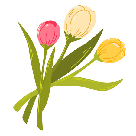 Bouquet of tulips. Love concept. Spring flowers. Element for spring, summer, seasonal design of postcards, fabrics, wallpaper, wrappers, packaging, textiles. Vector illustrationのイラスト素材