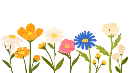 Horizontal white banner or floral backdrop decorated with gorgeous multicolored blooming flowers and leaves border. Spring botanical flat vector illustration on white backgroundのイラスト素材