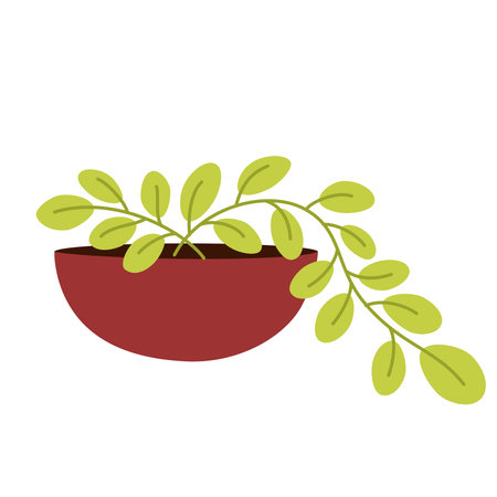 Green leaf plant in pot. Houseplant growing in flowerpot, string of pearls. Indoor greenery, leaves decoration. Home interior vegetation. Flat vector illustration isolated on white backgroundのイラスト素材