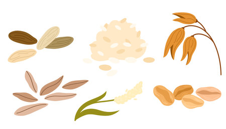 Cereal grain piles. Agricultural production, food or rustic natural plant, product crop heaps with scattered seeds of wheat, rye, oat. Cartoon Vector Illustration isolated on white background.のイラスト素材