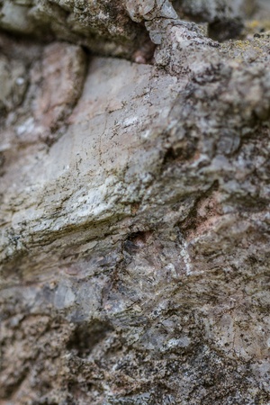 Rock textureの写真素材