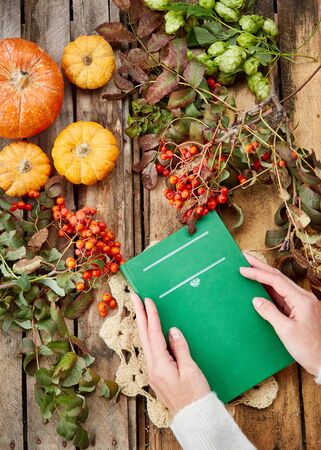 Book in hand, pumpkins and yellow leaves on a wooden backgroundの写真素材