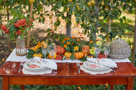 Table setting on a rustic farmhouse country table with white and orange mini pumpkinの写真素材
