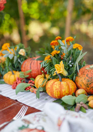 Table setting on a rustic farmhouse country table with white and orange mini pumpkinの写真素材