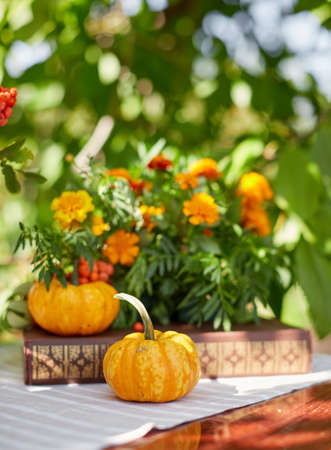 Table setting on a rustic farmhouse country table with beautiful autumn decorand with basket mini pumpkinsの写真素材
