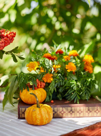 Table setting on a rustic farmhouse country table with beautiful autumn decorand with basket mini pumpkinsの写真素材