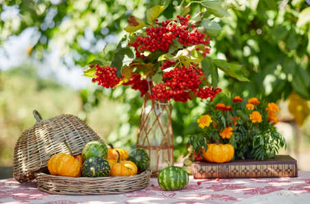Table setting on a rustic farmhouse country table with beautiful autumn decorand with basket mini pumpkinsの写真素材