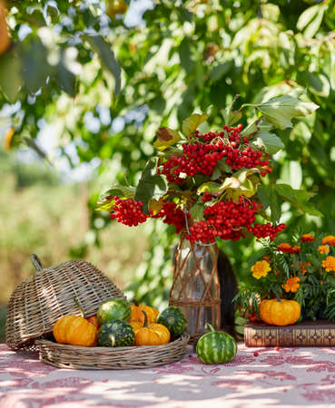 Table setting on a rustic farmhouse country table with beautiful autumn decorand with basket mini pumpkinsの写真素材