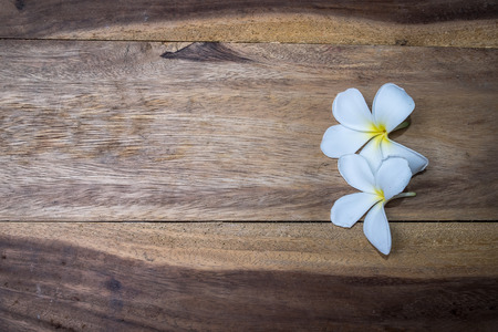 frangipani flower on the woodの写真素材