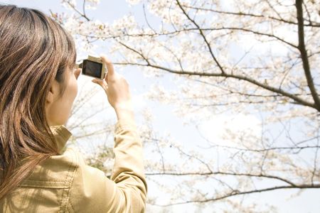 Cherry tree and womanの写真素材