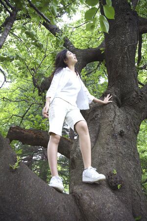 Japanese woman climbing on the big treeの写真素材