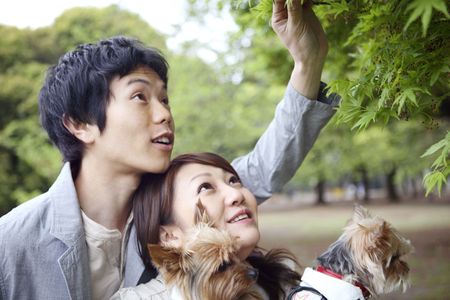 Image of datingの写真素材