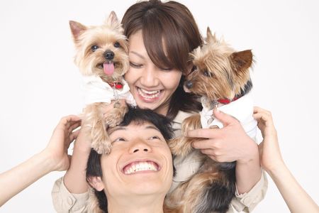 Couple and dogsの写真素材