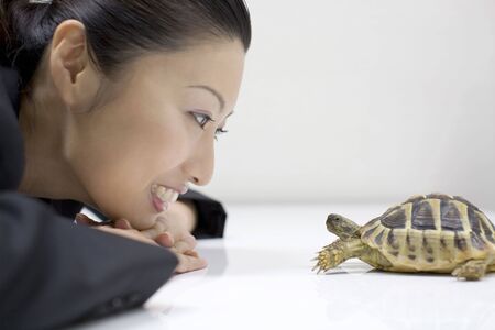 Turtle and the business ladyの写真素材
