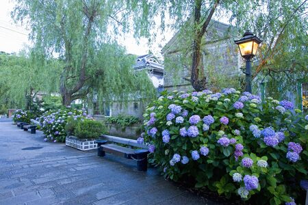 Shimmodaの写真素材