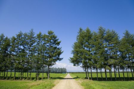 Straight roadの写真素材