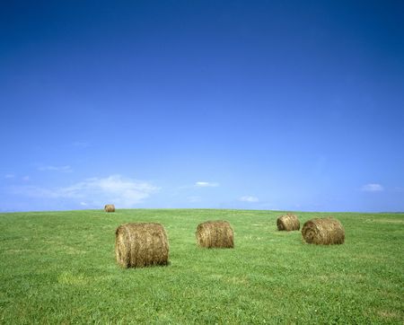 Rural landscapeの写真素材