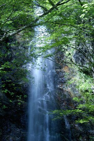 Waterfallの写真素材