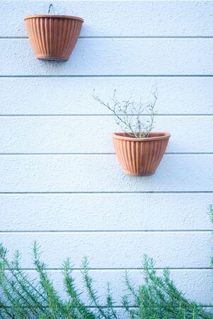 White wallの写真素材