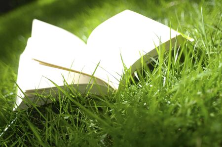 Book on grassの写真素材